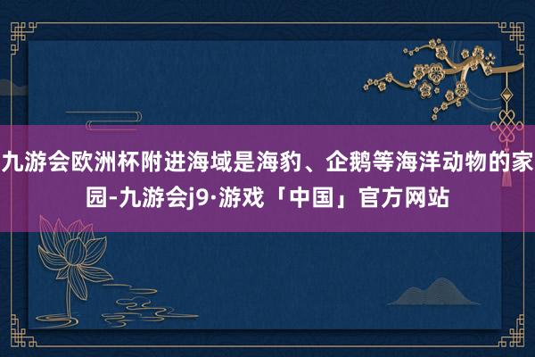 九游会欧洲杯附进海域是海豹、企鹅等海洋动物的家园-九游会j9·游戏「中国」官方网站