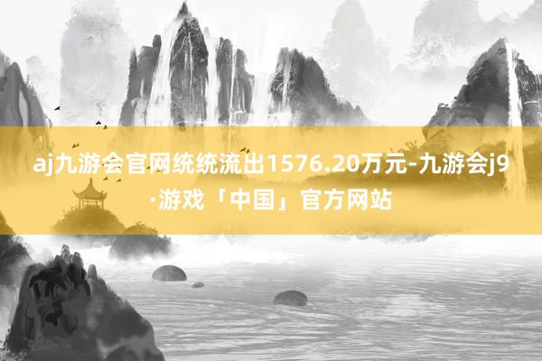 aj九游会官网统统流出1576.20万元-九游会j9·游戏「中国」官方网站