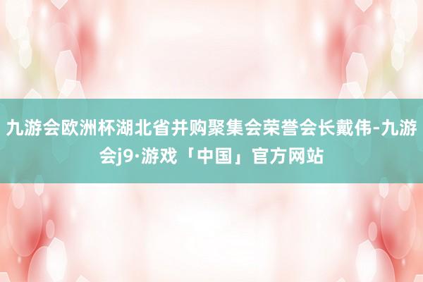 九游会欧洲杯湖北省并购聚集会荣誉会长戴伟-九游会j9·游戏「中国」官方网站